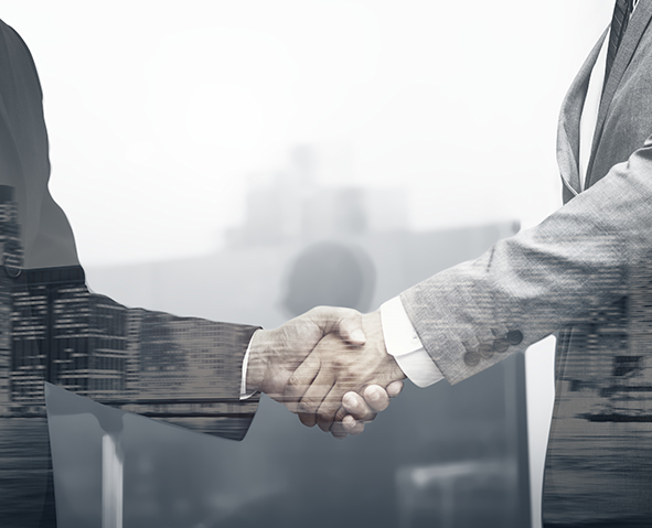 SANS Global Additives